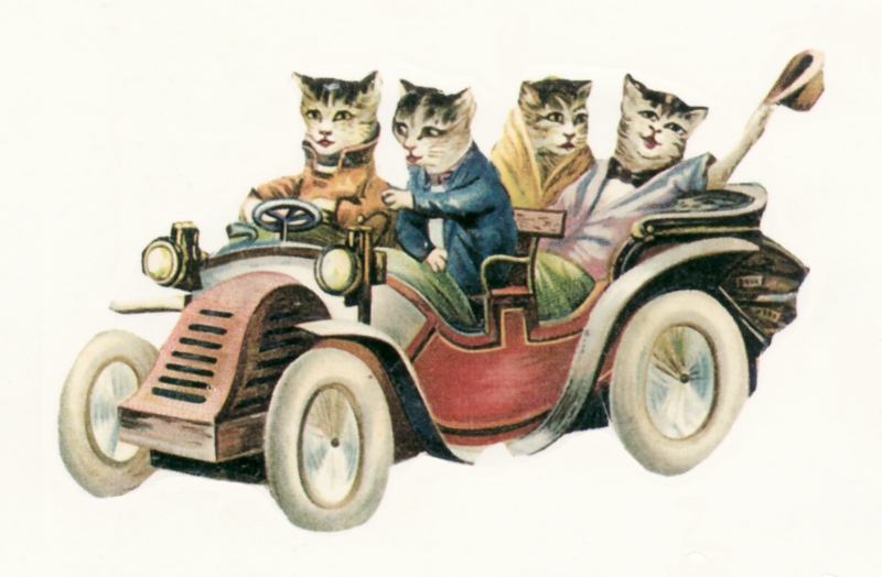vintage kitten clipart - photo #47